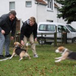beaglerennen OWL beaglerennen OWL