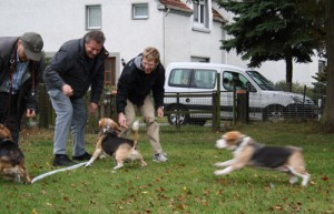 beaglerennen OWL