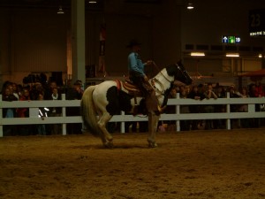 Pferd & Jagd 036 Westernreiten
