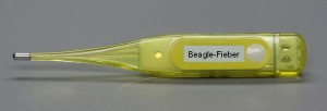 800px-Fieberthermometer_BW_2