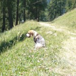 Flitterwoche Mals 043