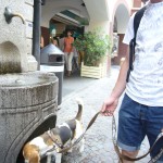 Flitterwoche Mals 334