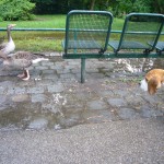 Flitterwoche Mals 630