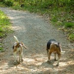 Neo+Caya_20110417_1506