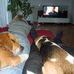 Neo+Caya_20110516_1953