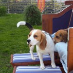 Neo+Caya_20110520_1712