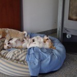BILD0411 BILD0411