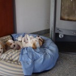 BILD0414 BILD0414