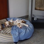 BILD0415 BILD0415