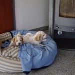 BILD0416 BILD0416