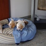 BILD0418 BILD0418