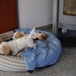 BILD0419 BILD0419