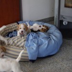 BILD0421 BILD0421