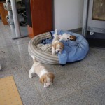 BILD0424 BILD0424