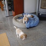 BILD0425 BILD0425