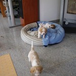BILD0426 BILD0426