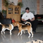 Personal Trainer Mark Sandmann mit den Beagles vom Deistertal