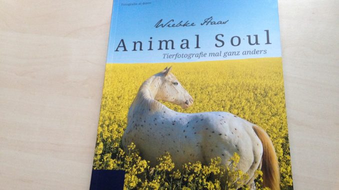 Buch Animal Soul - Tierfotografie mal ganz anders von Wiebke Haas